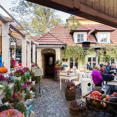 Unique Experience - Charles Bridge Apartment *