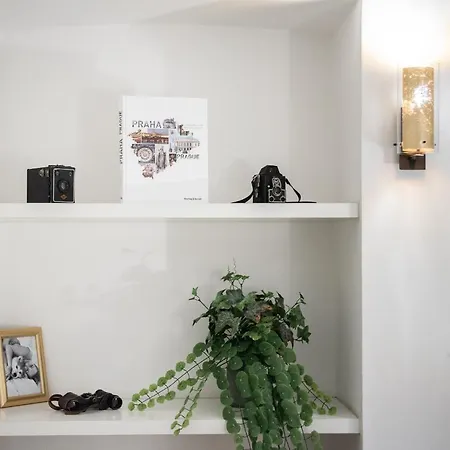 Unique Experience - Charles Bridge Apartment